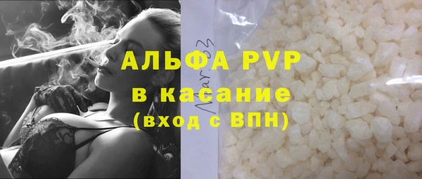 стаф Зеленокумск