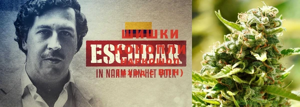 круглые Покров